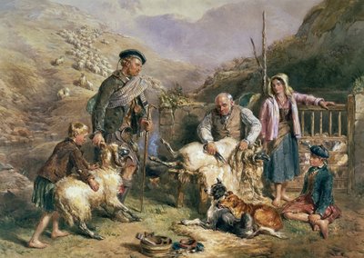 Sheep Shearing by John Frederick Tayler